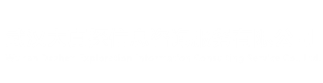 武汉大真探信息咨询服务有限公司
